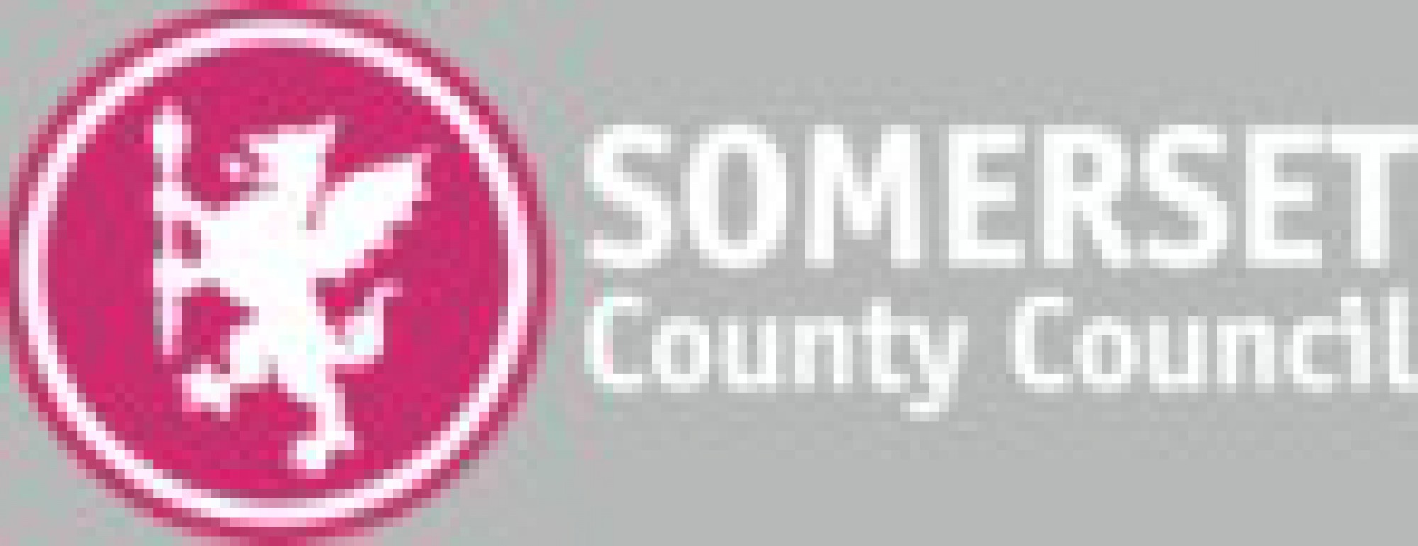 Somerset County Council - Briefing Note February 2023