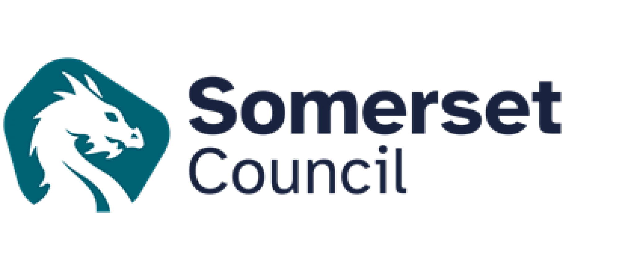 Somerset Council working with the NHS to digitise adult social care in Somerset