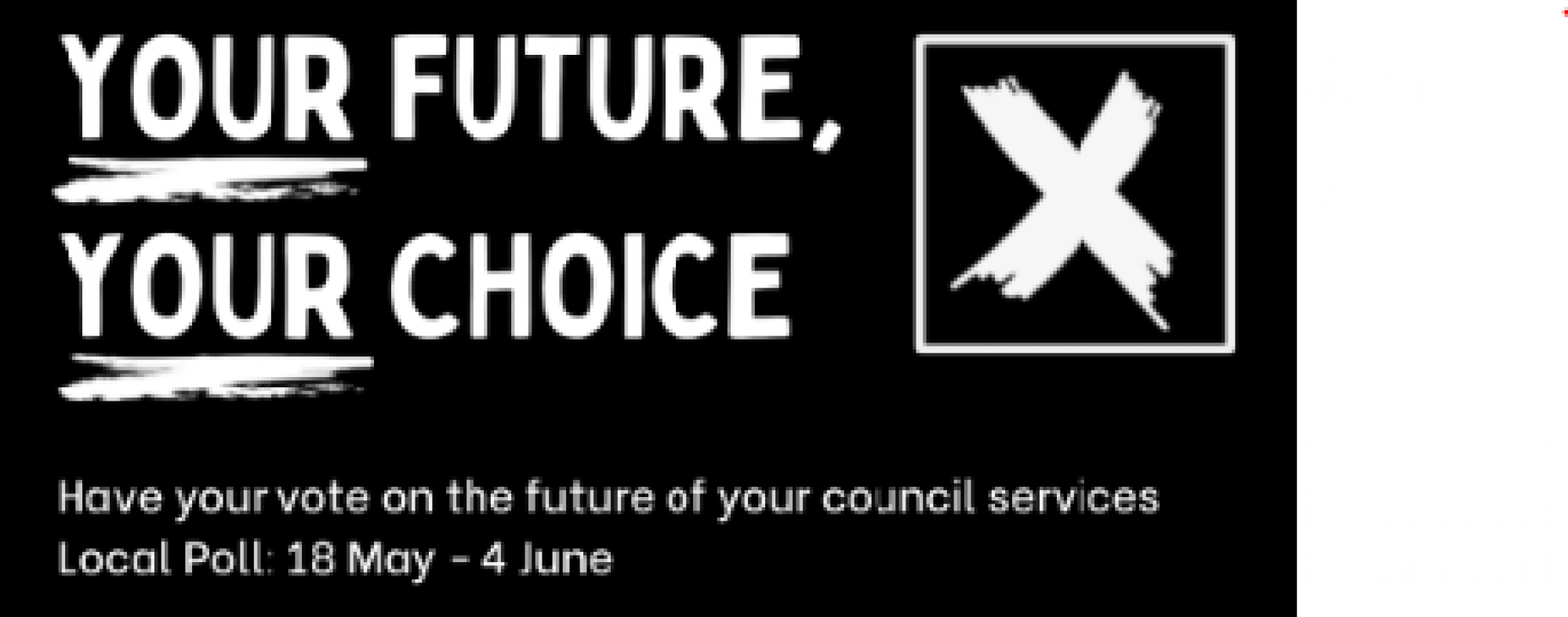 Local poll on future of local government in Somerset goes live this week