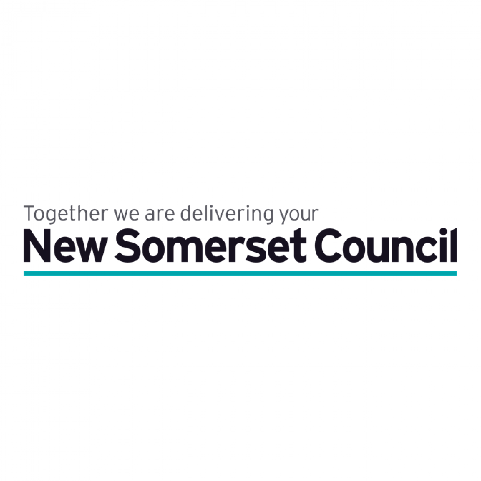 Help us shape a new unitary council for Somerset