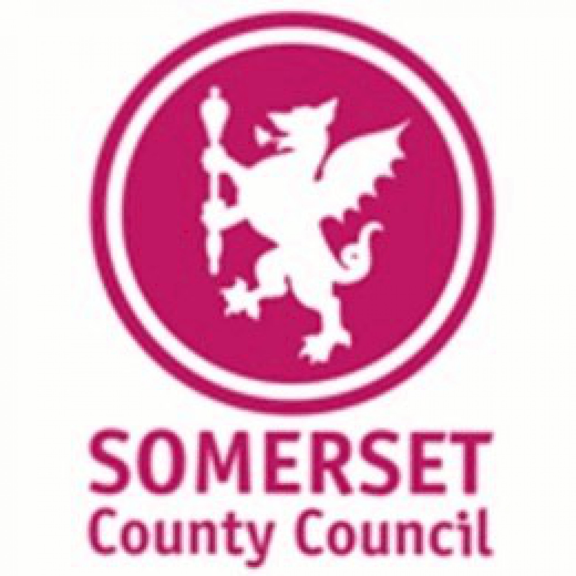 Somerset County Council Blue Note briefing sheet for February 2022